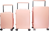 CT-5134 ABS Trolley case set